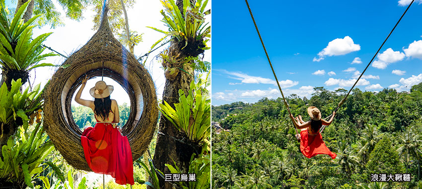 網紅打卡必拍:浪漫大鞦韆、巨型鳥巢